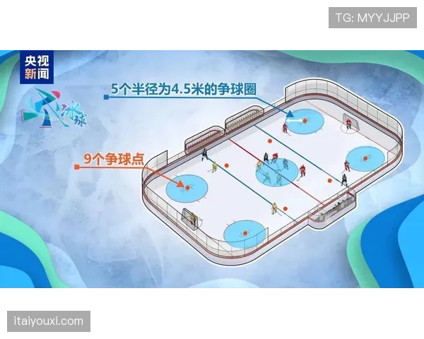 争球规则详解：比赛中争球的判罚标准与执行流程